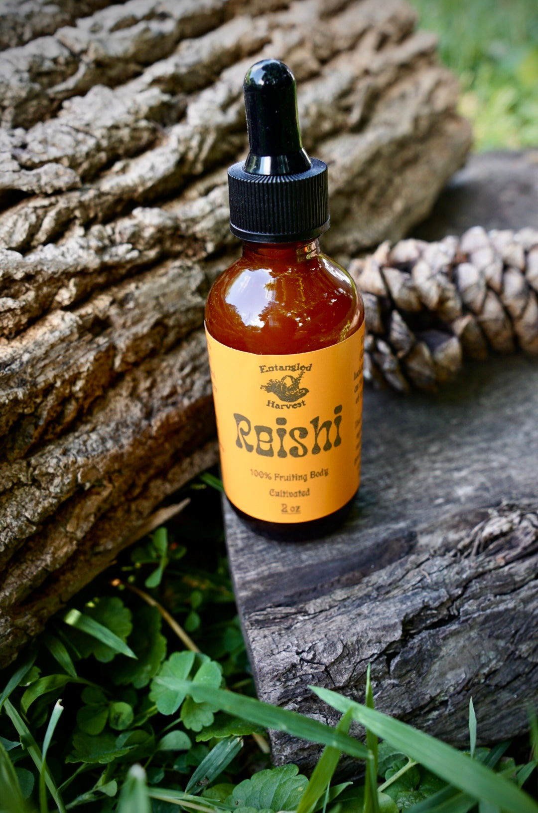 Reishi Tincture