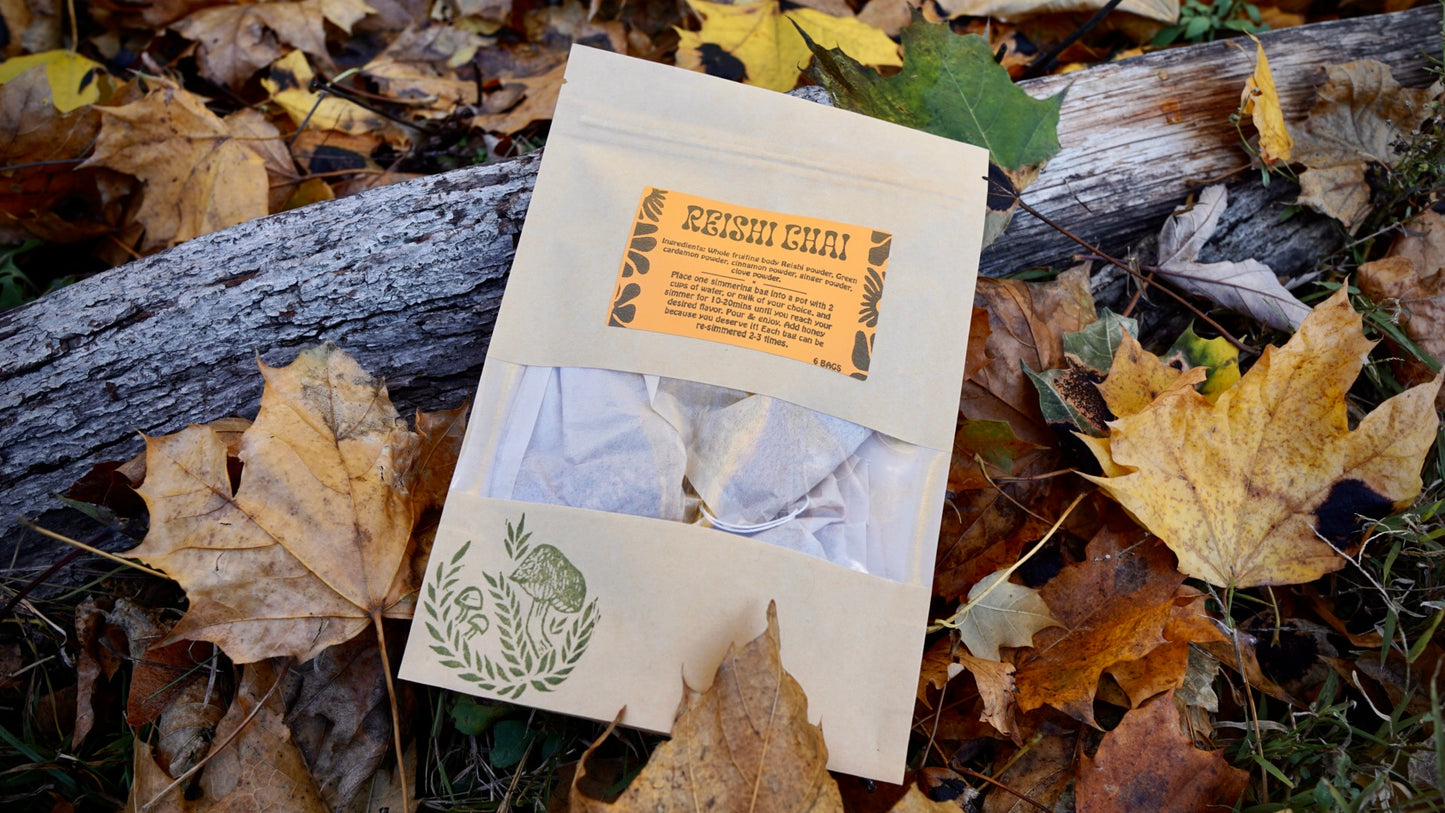 Reishi Chai