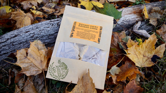 Reishi Chai