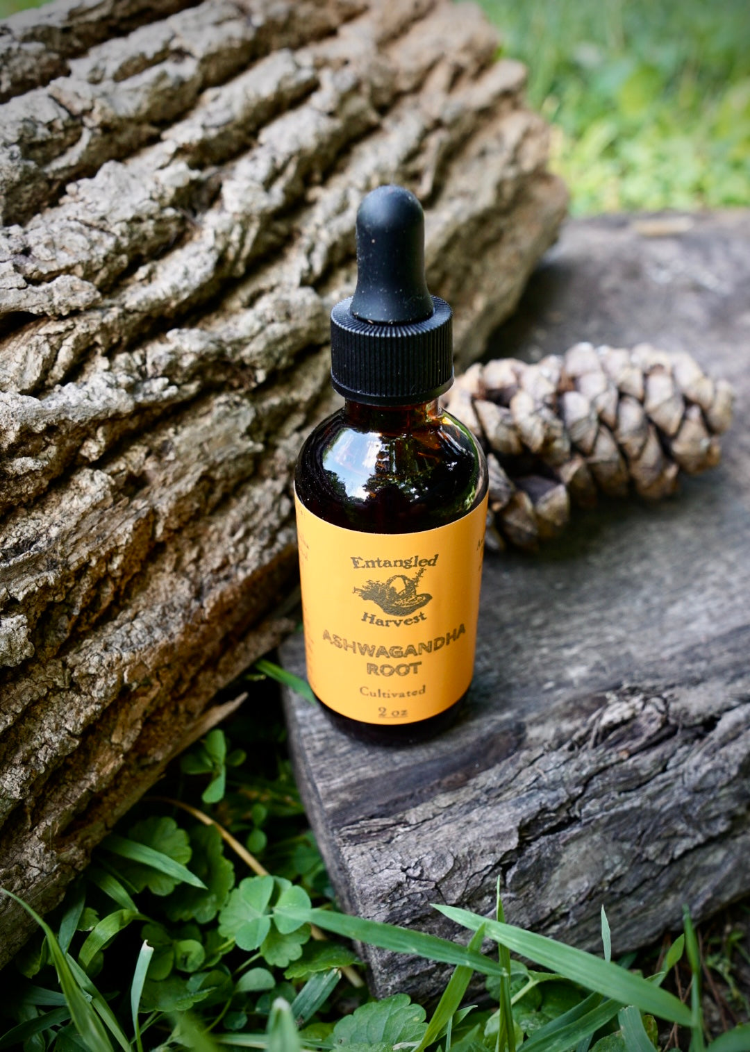 Ashwagandha Tincture