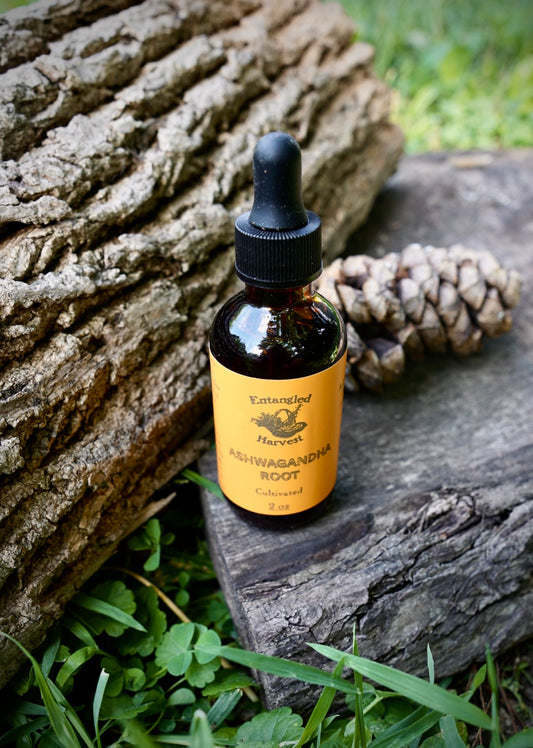 Ashwagandha Tincture