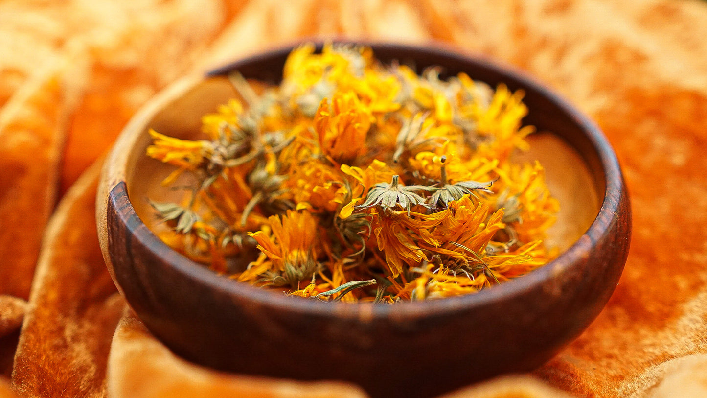 Calendula