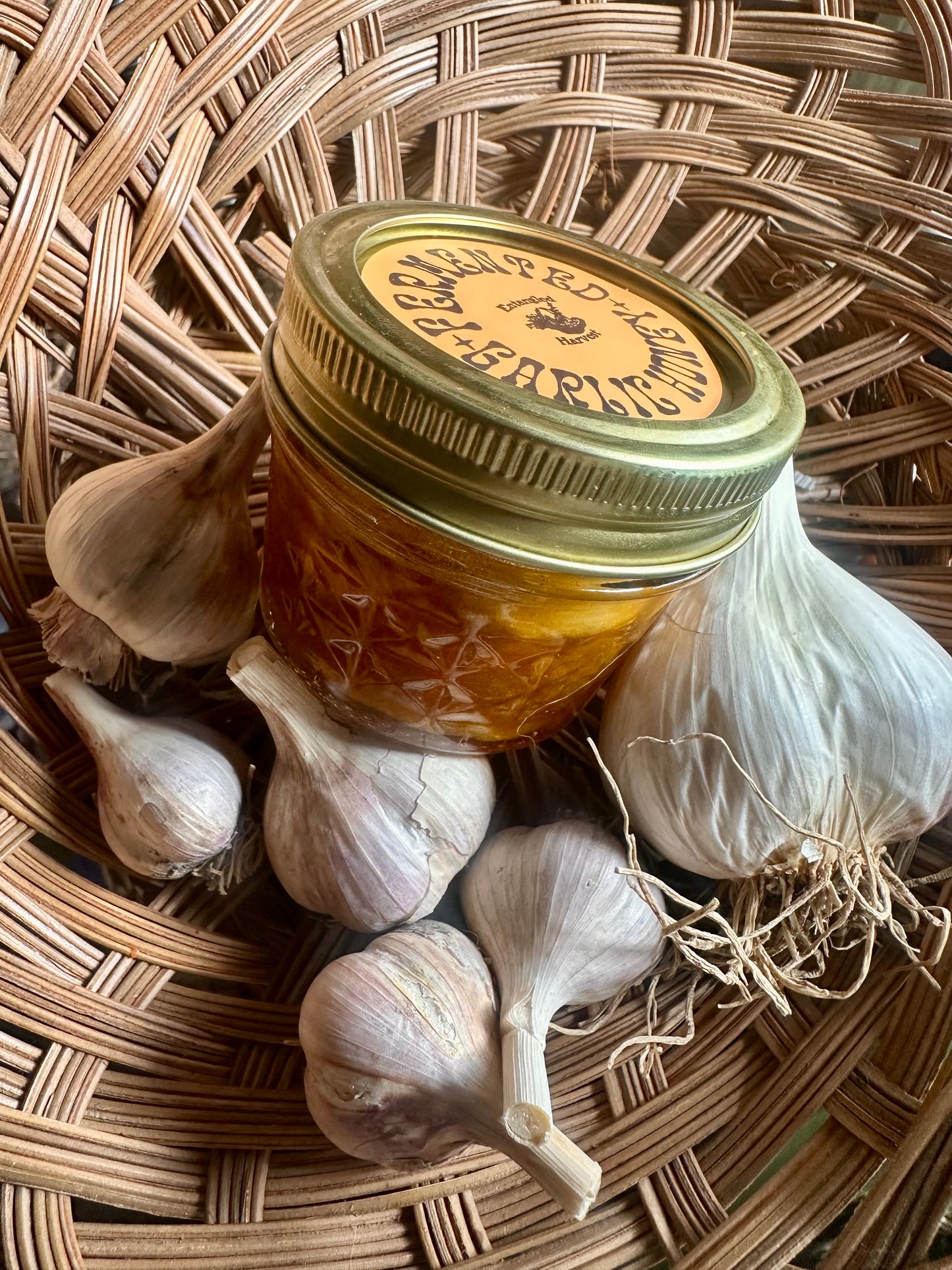 Fermented Garlic Honey