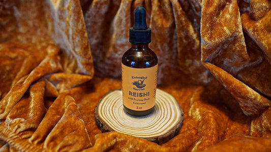 Reishi Tincture