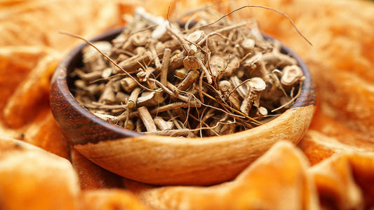 Dried Ashwagandha Root